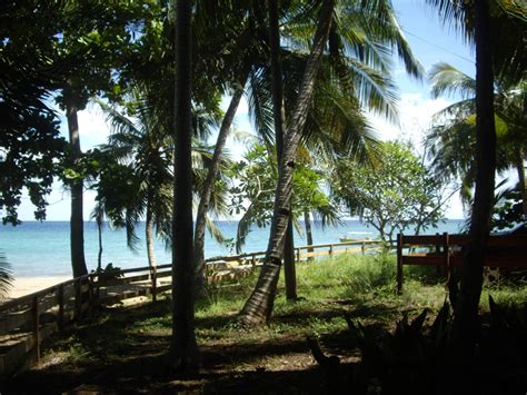 Het bestaat uit 2 verschillende eilanden (grande terre en petite terre) en wordt ommuurd door prachtige koraalriffen met een totale lengte. L'océan indien - belles plages de rêve et baobabs