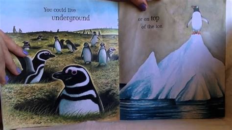 If You Were A Penguin By Wendell And Florence Minor Read By