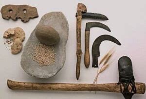 Historia de las primeras herramientas del hombre y su evolución