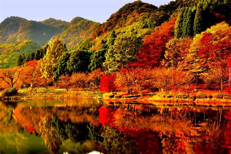 Jesień Jezioro Kolorowe Drzewa