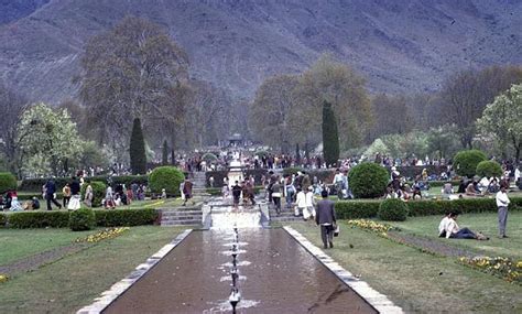 Nishat Bagh Mughal Gardens Kashmir Srinagar