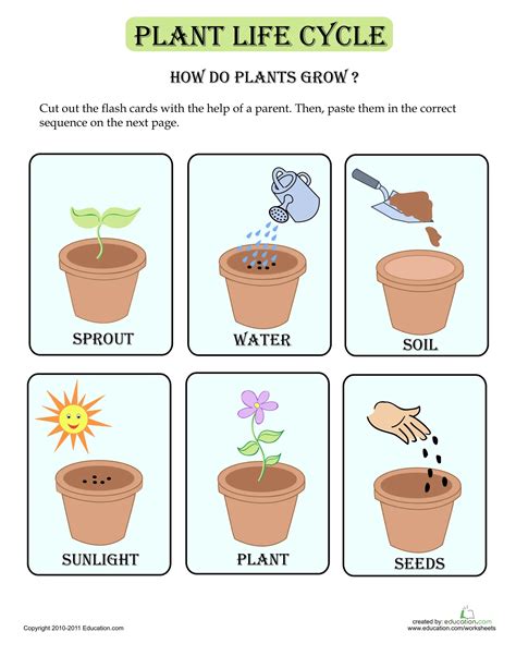 Unit 1 Grade 1 Plant Life Cycle Cards Interactive Worksheet Edform