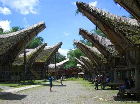 Gambar rumah adat gadang hitam putih rumah adat indonesia. 45+ Gambar Rumah Tongkonan Hitam Putih Terbaru - Never Mind