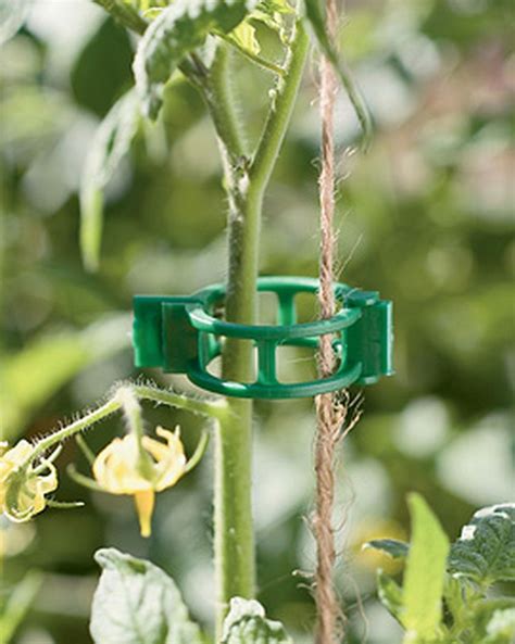 Plant Clips For The Garden Set Of 48 In 2021 Plant