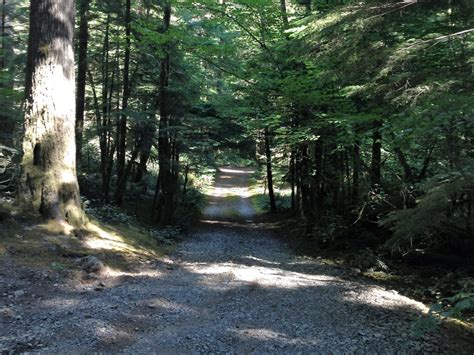 How did the opal creek fire affect jawbone flats? Opal Creek Dispersed Camping near Santiam, OR - we always ...