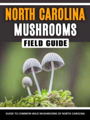 Mushrooms Of North Carolina Identification Field Guide To Common Wild