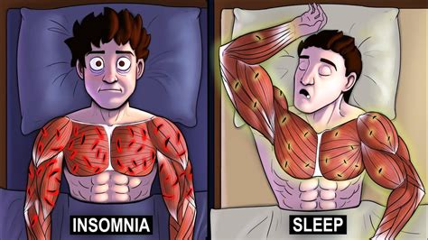 What Happens To Your Body When You Sleep Science Based
