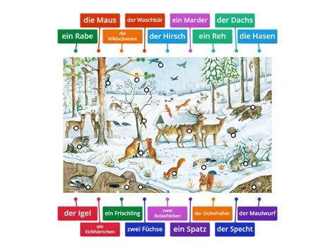 Tiere Im Winter Beschriftetes Diagramm