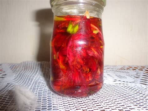 You just need a handful of fresh hibiscus flowers and leaves and a cup of coconut oil. Natural hair health beauty : Make your own hibiscus hair ...