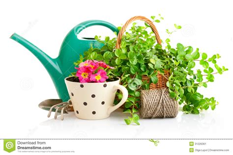 Flowers And Green Plants For Gardening With Garden Tools