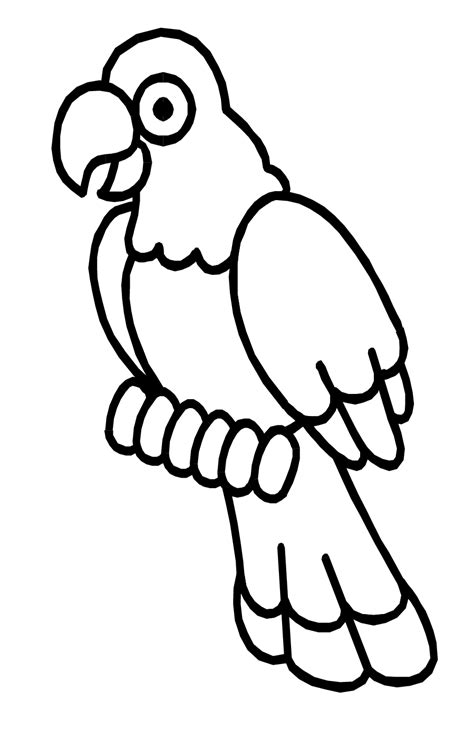 Printable Parrot Coloring Pages Easy Parrot On The Swing