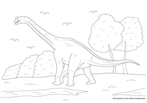 Stiften, verf, kleurpotloden, krijtjes en papier. Dinosaurus kleurplaten - Dinosaurus.nl