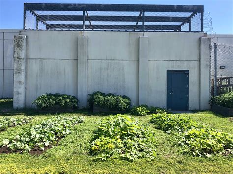 Inmates Have Turned The Maine State Prison Grounds Into A Lush Garden