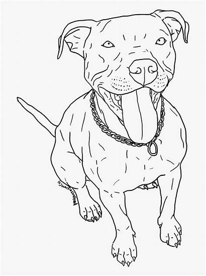 Pitbull Coloring Pit Bull Dog Cartoon Clipart