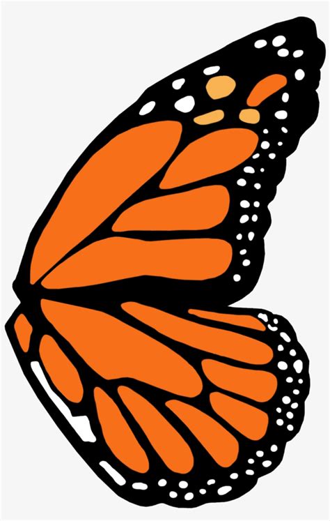 Butterfly Illustration Butterfly Drawing Butterfly Wings Monarch