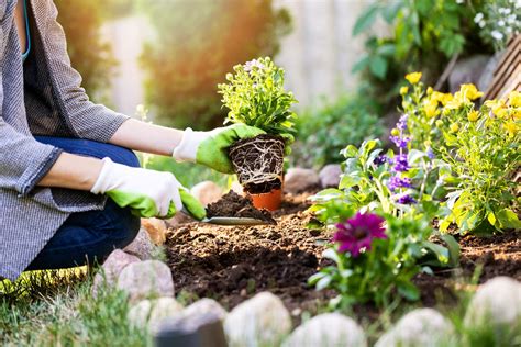 How To Prepare My Garden For Planting Chicago Land Gardening
