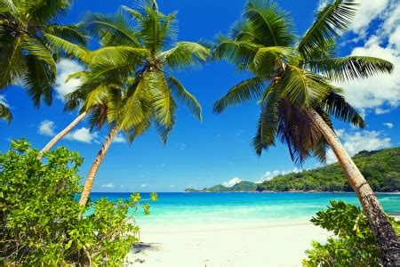 Check spelling or type a new query. Tropical island - Beaches & Nature Background Wallpapers ...