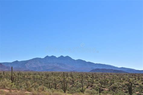 Tonto National Forest Off Highway 87 Arizona Us Department Of