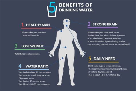 Benefits Of Drinking Water Fit Body By George Best Personal Trainer