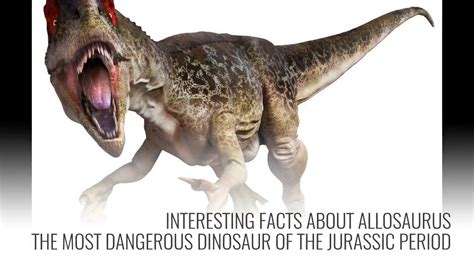 Interesting Facts About Allosaurus The Most Dangerous Dinosaur In Jurassic Period Youtube