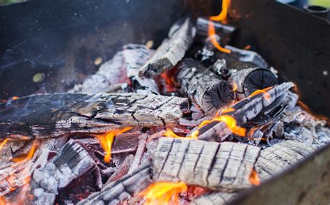 Next time you sweep out your fireplace, don't just dump those ashes! Hey Mr. Green! What Should I Do With Ashes From a ...
