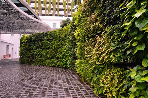 Plante Green Wall Vertical Garden Wallspan
