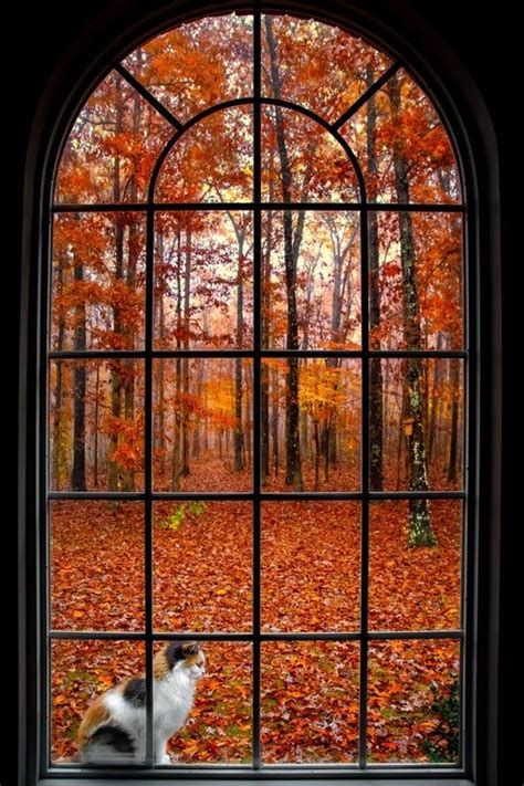 Best Window Sealer For Winter - Top 5 Ways to Winterize Your Windows