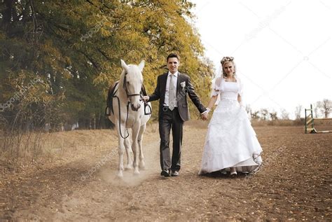 Newly Married Couple And White Horse — Stock Photo © Flywish 12658426