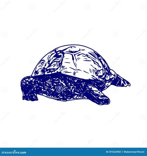 Blue Line Sketch And Hand Drawn Drawing Of A Land Turtle Stock