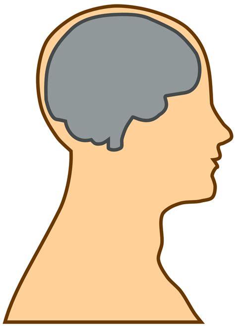 Public Domain Clip Art Image Silhouette Of A Brain Id