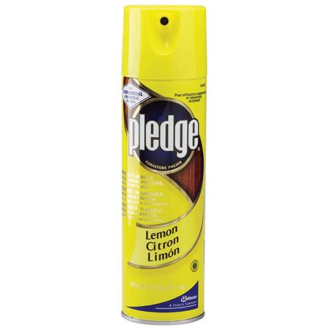 30 results for pledge furniture polish. You Can Use Pledge Furniture Polish To Clean Stainless ...