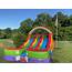 Backyard Double Water Slide  Inflatable Bounce Houses & Slides