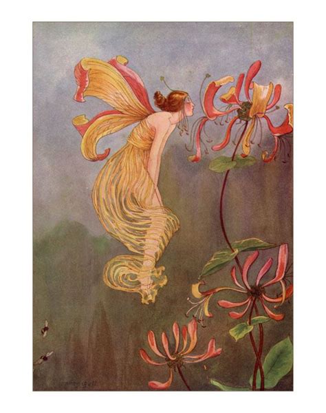 Fairy Smellig Flower Vintage Fairies Fairy Art Fairy Illustration