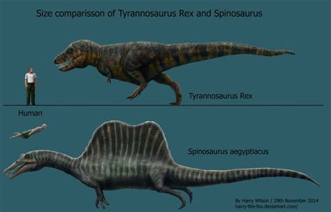 Spinosaurus And T Rex Size Comparison By Harry The Fox Monsters N