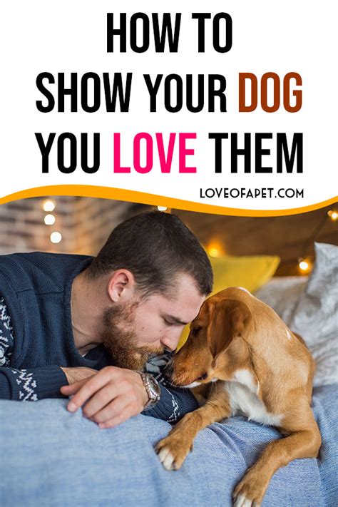 How To Show Your Dog You Love Them 10 Ways Love Of A Pet Dogs Dog