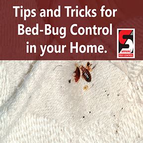 We serve cockroach pest control, dog ticks, termite, herbal, rodent, bed bugs pest control. Index www.sadgurufacility.com