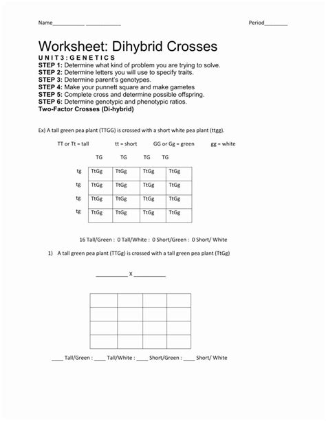 Punnett Square Dihybrid Cross Worksheet