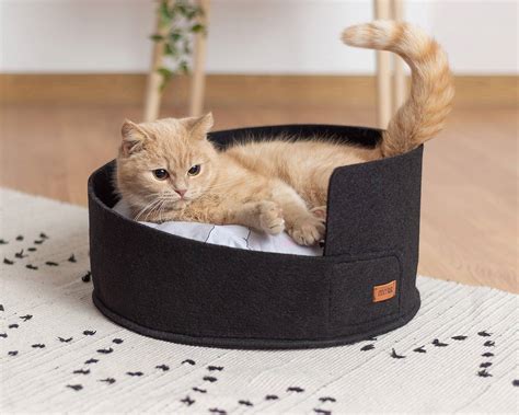 Top 10 Best Cat Beds Review 2021 Besthousecatcare
