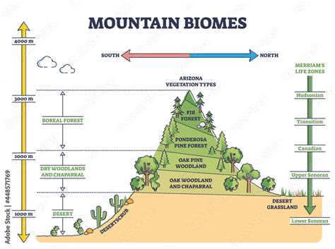 Mountain Biomes With Altitude And Merriams Life Zones Axis Outline