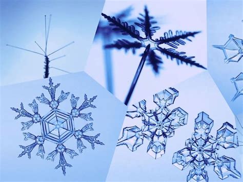The Science Behind Why No Two Snowflakes Are Alike — Wired Snow