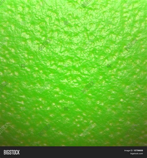 Lime Peel Fruit Texture Food Image And Photo Bigstock