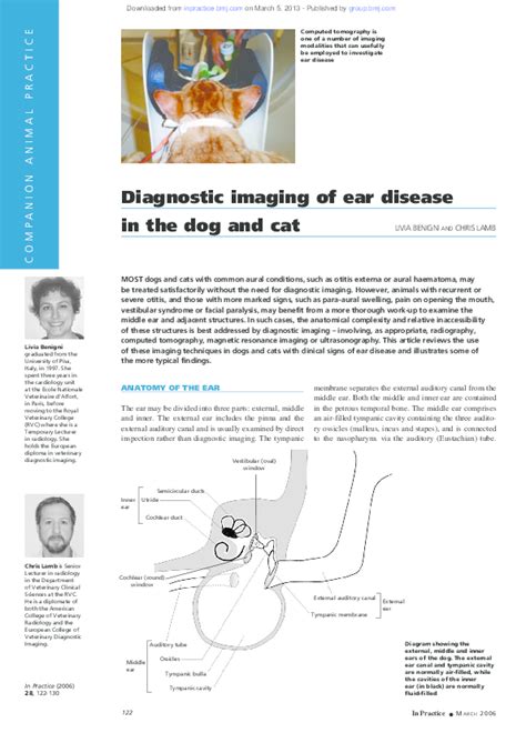 Pdf Diagnostic Imaging Of Ear Disease In The Dog And Cat Livia