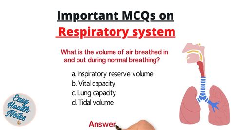 Know About The Respiratory System Important MCQs With Answers YouTube