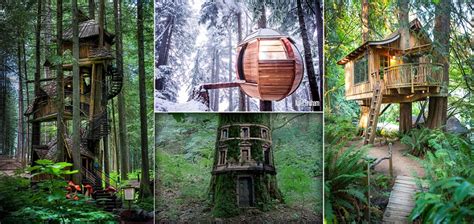 25 Most Beautiful Tree Houses From All Over The World
