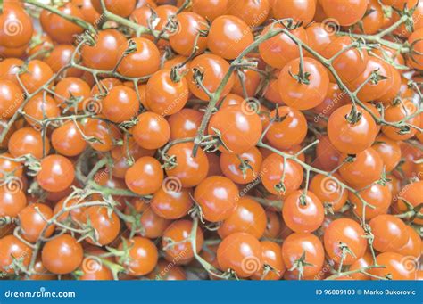 Organic Fresh Small Orange Ripe Cherry Tomatoes On The Market On Sunny