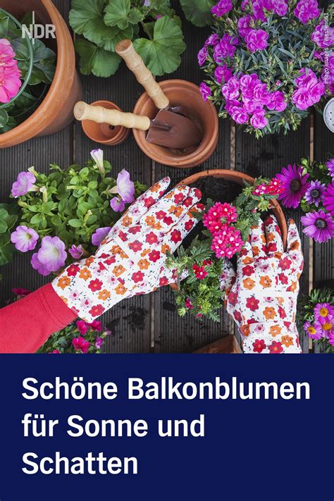 Posted at july 14, 2019 7:07 by agev in gartenideen. Sommerblumen für Sonne und Schatten pflanzen in 2020 ...