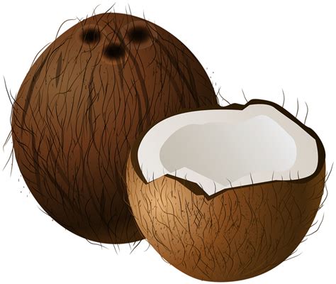 Coconuts Transparent Background 15100015 Png