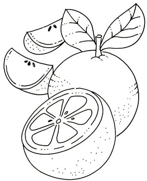Desenho De Laranjas Fruta Para Colorir Tudodesenhos