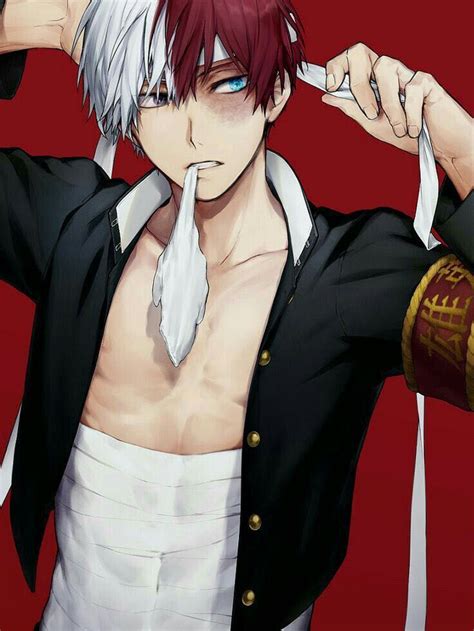 Pin On Aaa Todoroki