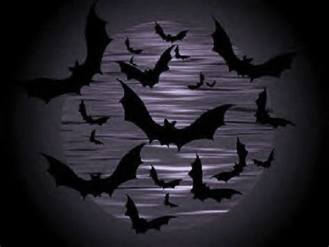Halloween 2015 Screechy Bats Halloween Wallpapers